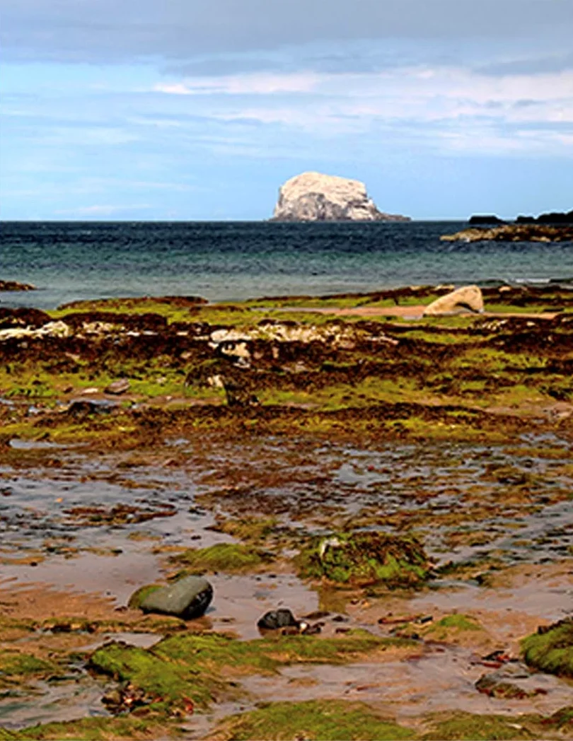 writing A Scottish beach with a rock island in the background